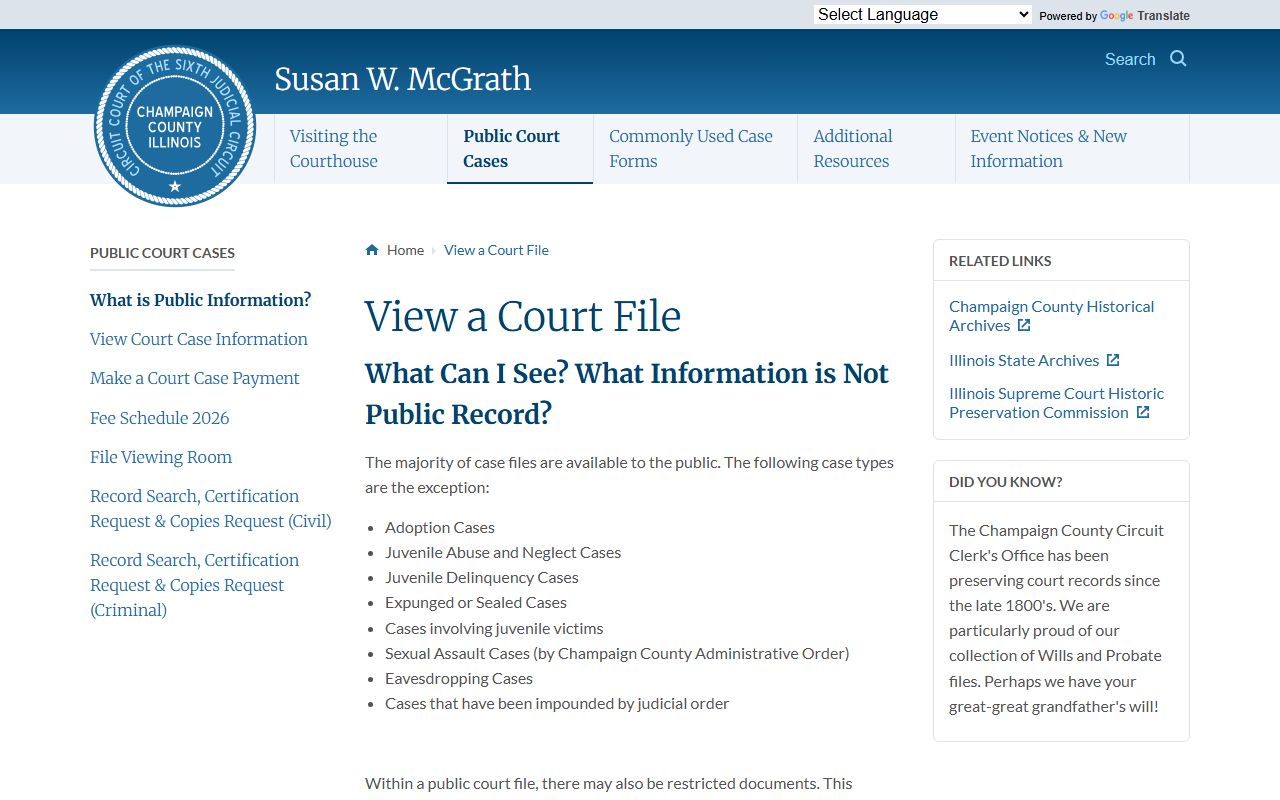Champaign County court records after arrest public court file access page